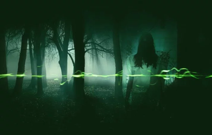 ghost evp 1