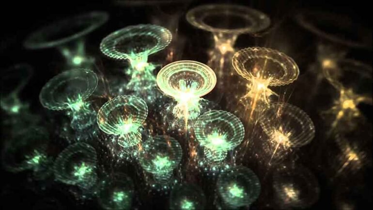 Multiverse