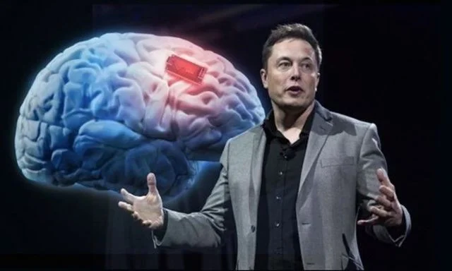 28293982 elonmusk