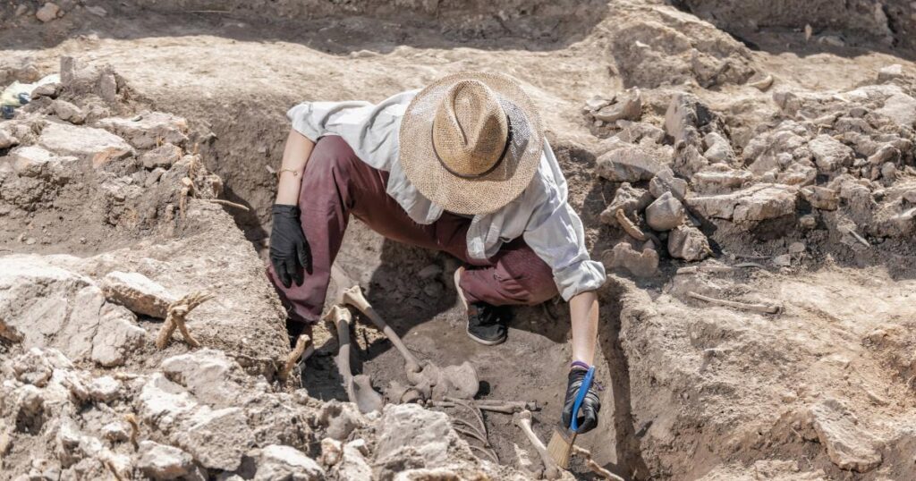 archaeologist skeleton