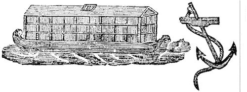 Anchor and The Ark