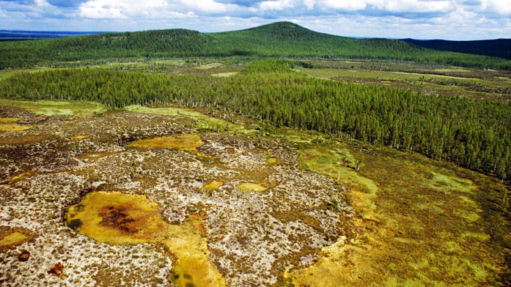 tunguska1